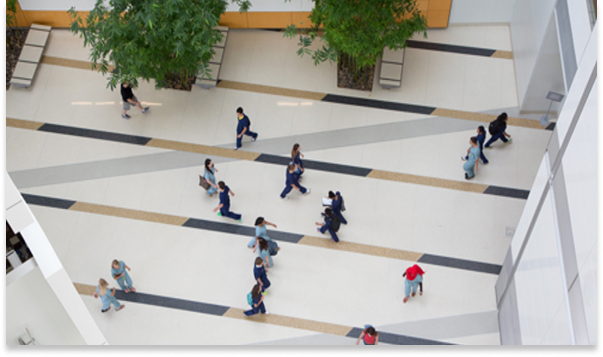 Overhead view of people walking through a bright, spacious building lobby with large indoor trees.