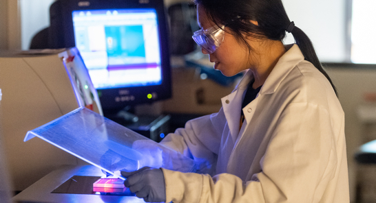 A group of colleagues having a meeting